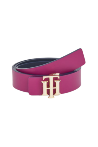 TOMMY HILFIGER TH LOGO REV_DW5